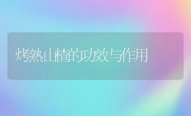 烤熟山楂的功效与作用 | 养殖资料投稿