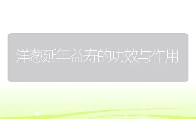 洋葱延年益寿的功效与作用 | 养殖资料投稿