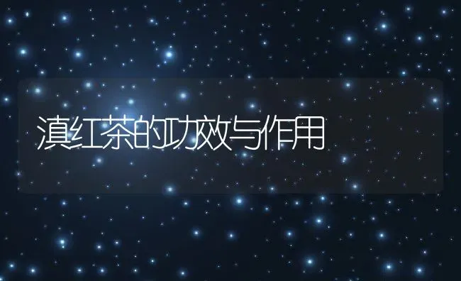 滇红茶的功效与作用 | 养殖资料投稿