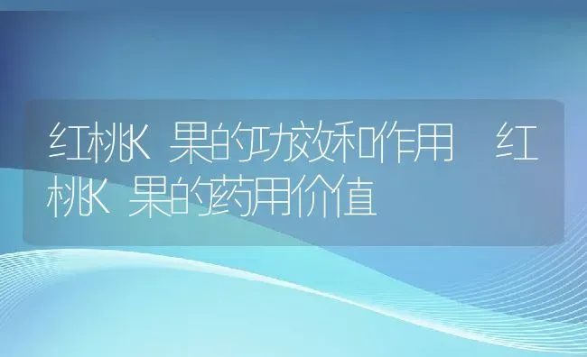 红桃K果的功效和作用 红桃K果的药用价值 | 养殖资料投稿