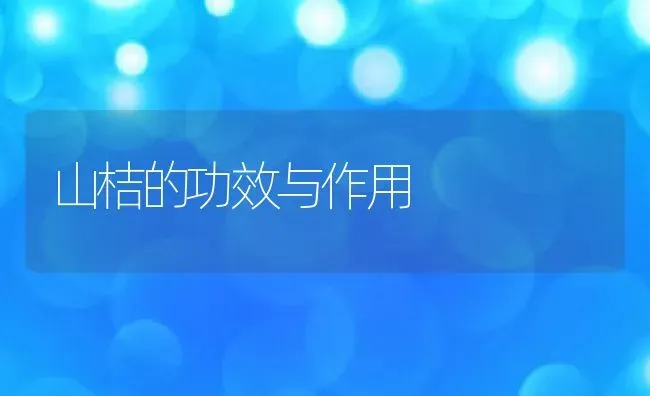 山桔的功效与作用 | 养殖资料投稿