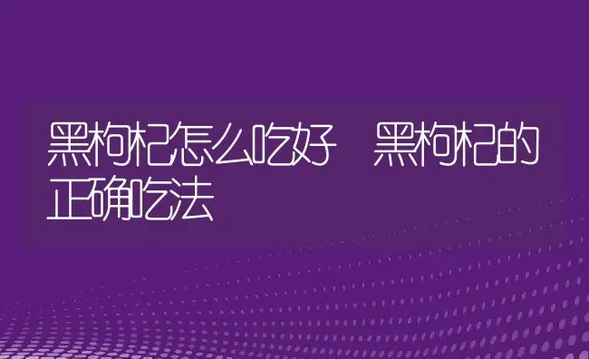 黑枸杞怎么吃好 黑枸杞的正确吃法 | 养殖资料投稿