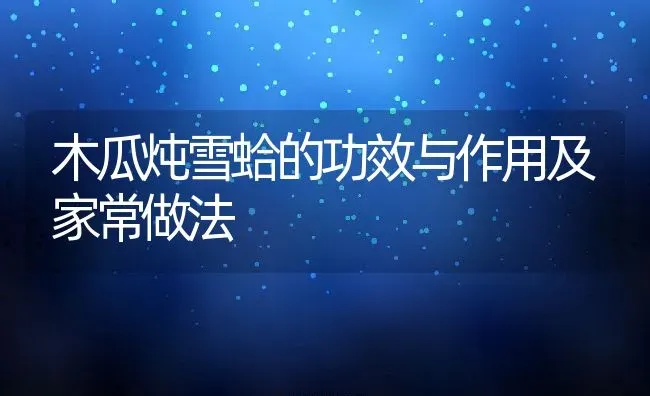 木瓜炖雪蛤的功效与作用及家常做法 | 养殖资料投稿