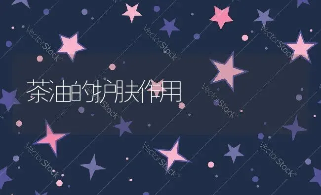 茶油的护肤作用 | 养殖资料投稿