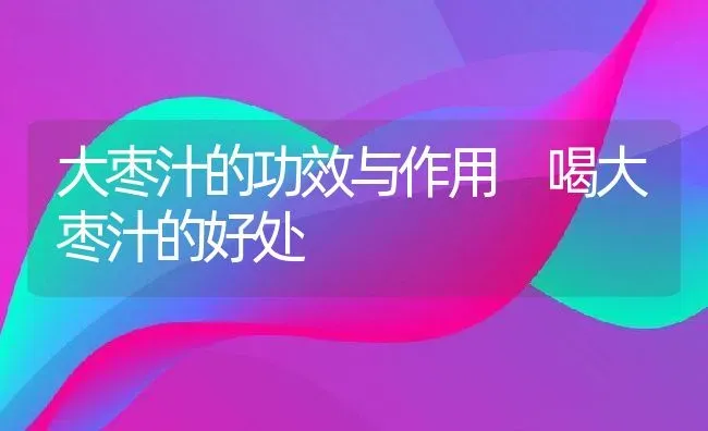 大枣汁的功效与作用 喝大枣汁的好处 | 养殖资料投稿