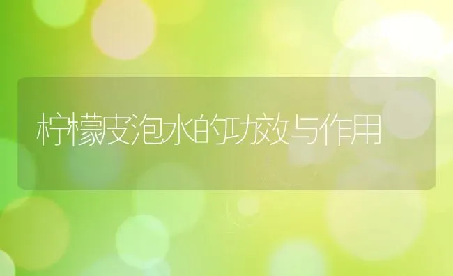 柠檬皮泡水的功效与作用 | 养殖资料投稿