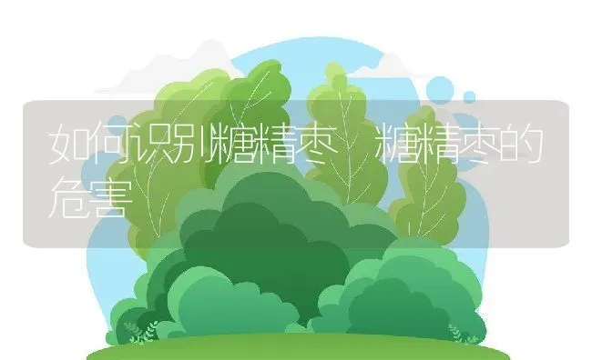 如何识别糖精枣 糖精枣的危害 | 养殖资料投稿