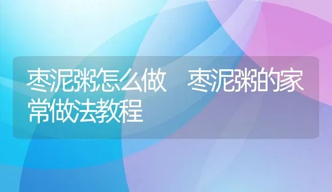 枣泥粥怎么做 枣泥粥的家常做法教程 | 养殖资讯