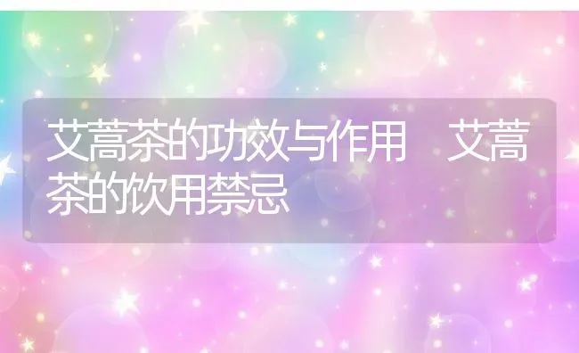 艾蒿茶的功效与作用 艾蒿茶的饮用禁忌 | 养殖资料投稿