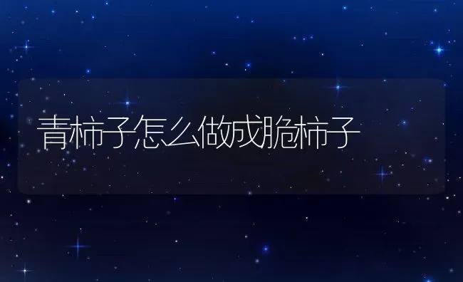 青柿子怎么做成脆柿子 | 养殖资料投稿