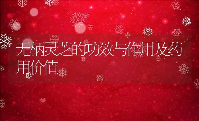 无柄灵芝的功效与作用及药用价值 | 养殖资料投稿