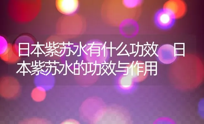 日本紫苏水有什么功效 日本紫苏水的功效与作用 | 养殖资料投稿