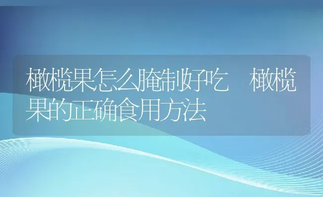 橄榄果怎么腌制好吃 橄榄果的正确食用方法 | 养殖资料投稿