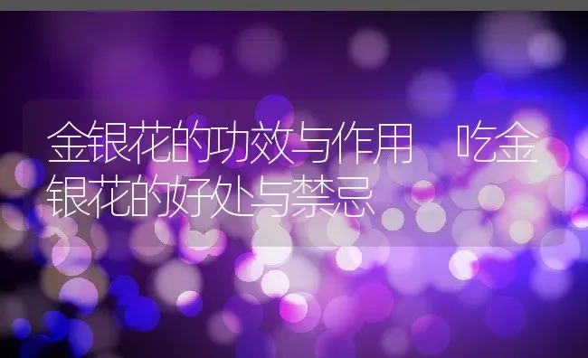 金银花的功效与作用 吃金银花的好处与禁忌 | 养殖资料投稿