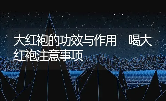 大红袍的功效与作用 喝大红袍注意事项 | 养殖资料投稿