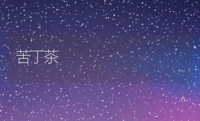 苦丁茶 | 养殖资料投稿