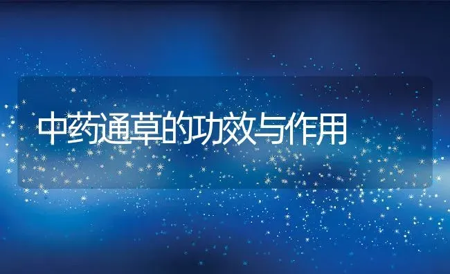 中药通草的功效与作用 | 养殖资料投稿
