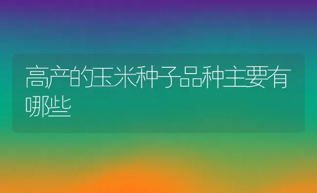 高产的玉米种子品种主要有哪些 | 养殖资讯