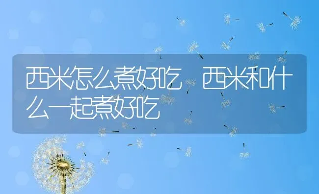 西米怎么煮好吃 西米和什么一起煮好吃 | 养殖资讯