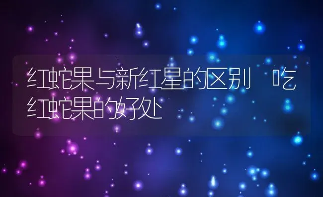 红蛇果与新红星的区别 吃红蛇果的好处 | 养殖资料投稿