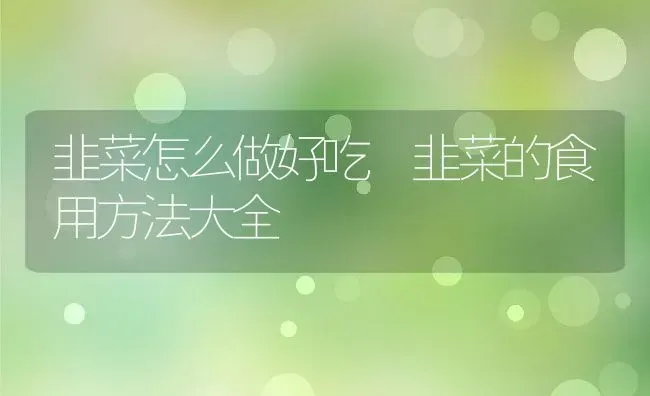 韭菜怎么做好吃 韭菜的食用方法大全 | 养殖资料投稿