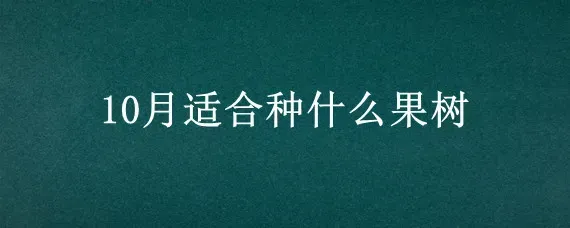 10月适合种什么果树