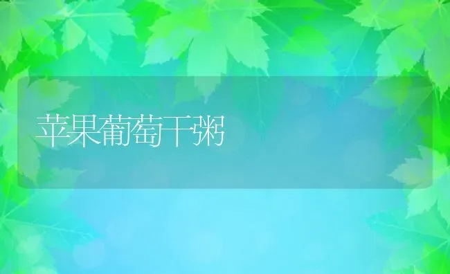 苹果葡萄干粥 | 养殖资料投稿