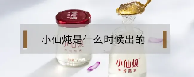 小仙炖是什么时候出的