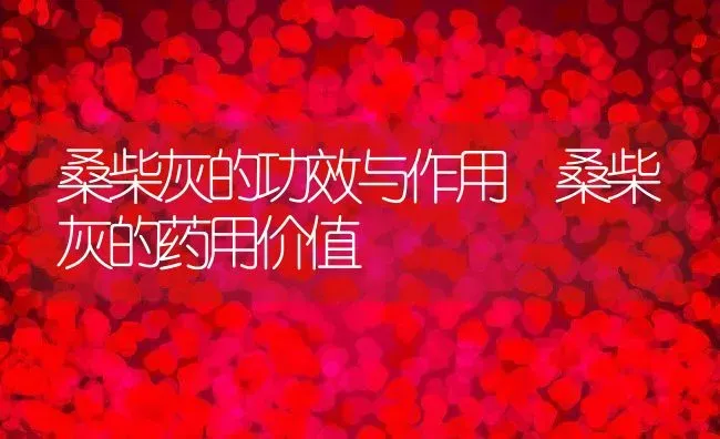 桑柴灰的功效与作用 桑柴灰的药用价值 | 养殖资料投稿