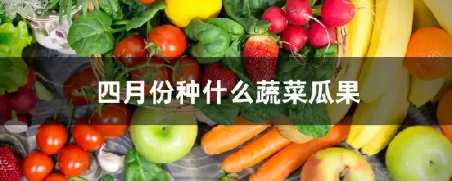 四月份种什么蔬菜瓜果