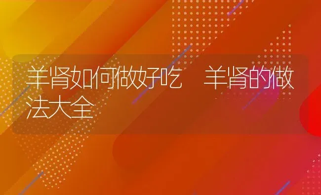 羊肾如何做好吃 羊肾的做法大全 | 养殖资料投稿
