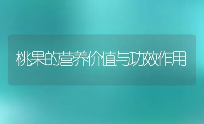 桃果的营养价值与功效作用 | 养殖资料投稿