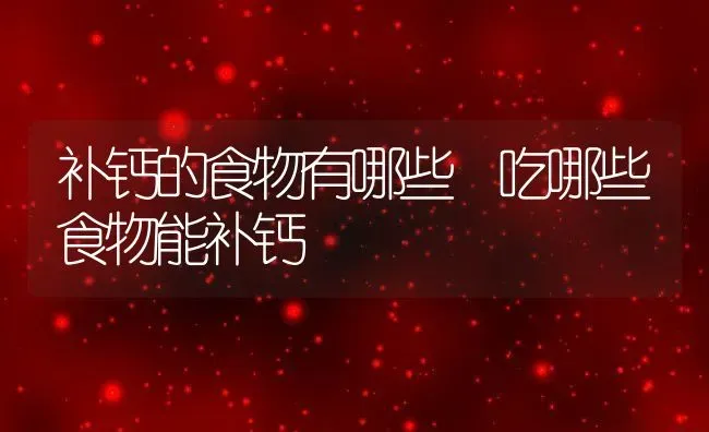 补钙的食物有哪些 吃哪些食物能补钙 | 养殖资料投稿