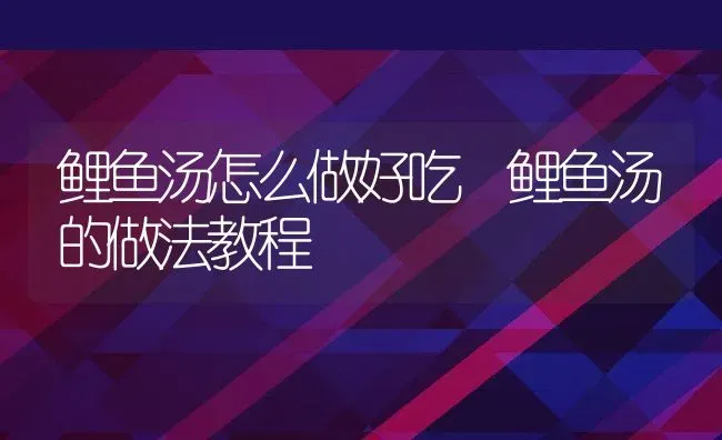 鲤鱼汤怎么做好吃 鲤鱼汤的做法教程 | 养殖资料投稿