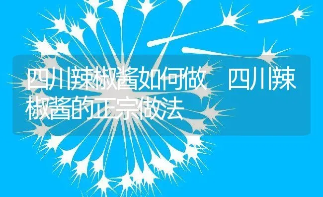 四川辣椒酱如何做 四川辣椒酱的正宗做法 | 养殖资料投稿