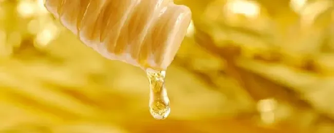 为什么真蜂蜜卖不过假蜂蜜？