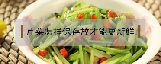 芹菜怎样保存放才能更新鲜