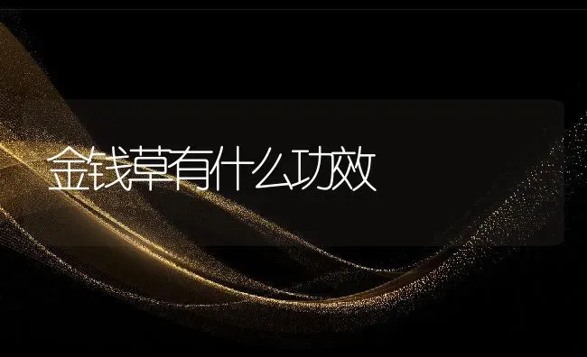 金钱草有什么功效 | 养殖资料投稿