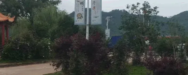 蚊香可以驱赶壁虎吗