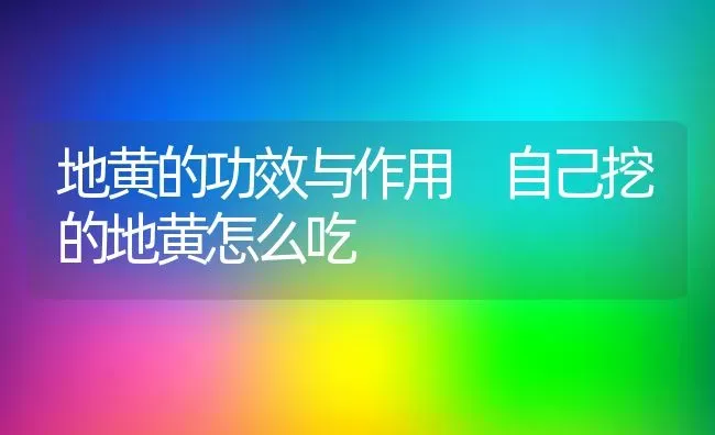 地黄的功效与作用 自己挖的地黄怎么吃 | 养殖资料投稿