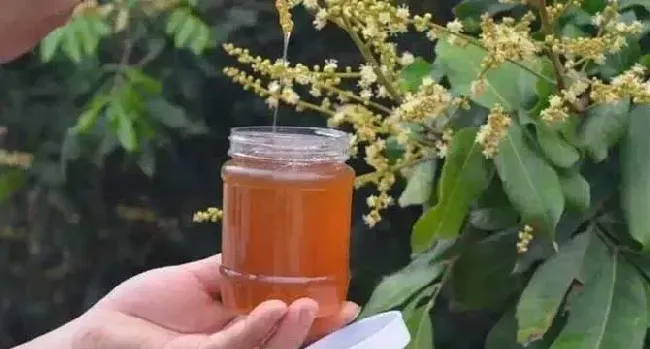 天天喝荔枝蜜会上火吗？