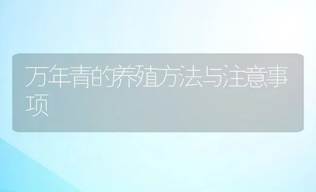 万年青的养殖方法与注意事项 | 养殖资料投稿