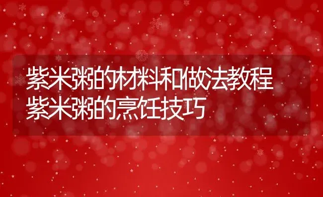 紫米粥的材料和做法教程 紫米粥的烹饪技巧 | 养殖资讯