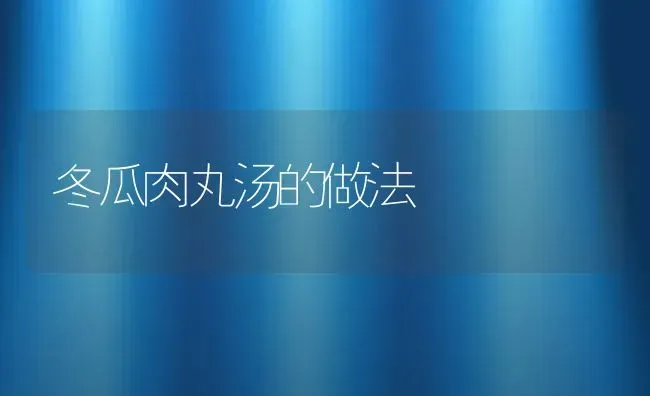 冬瓜肉丸汤的做法 | 养殖资料投稿