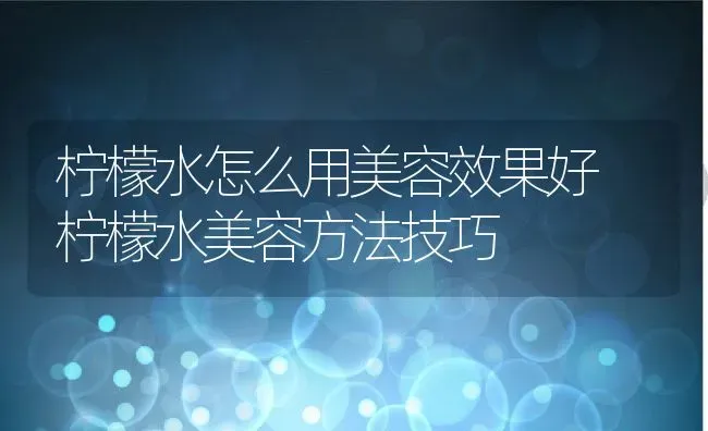 柠檬水怎么用美容效果好 柠檬水美容方法技巧 | 养殖资料投稿