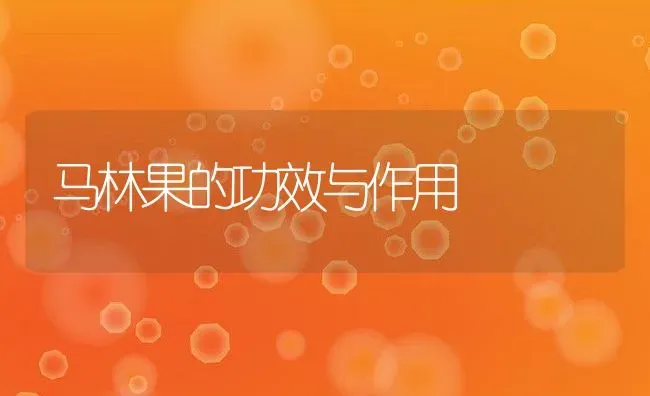 马林果的功效与作用 | 养殖资料投稿