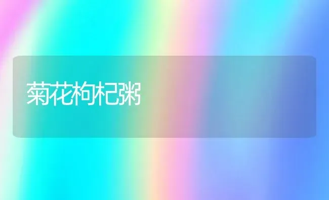 菊花枸杞粥 | 养殖资料投稿