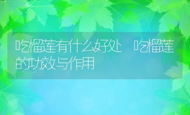 吃榴莲有什么好处 吃榴莲的功效与作用 | 养殖资料投稿