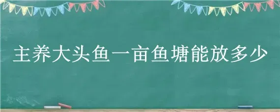 主养大头鱼一亩鱼塘能放多少