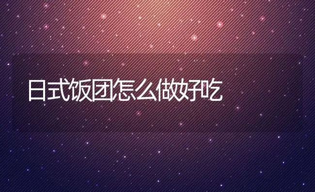 日式饭团怎么做好吃 | 养殖资讯